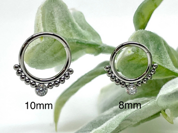 G23 Titanium Septum Ring